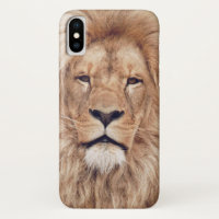 Big Lion Cat King of Africa