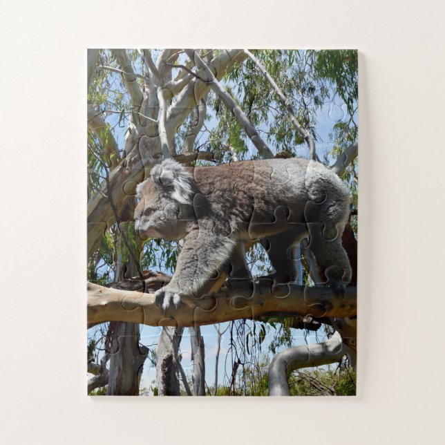 Big Male Australian Koala, Puzzle (Vertikal)