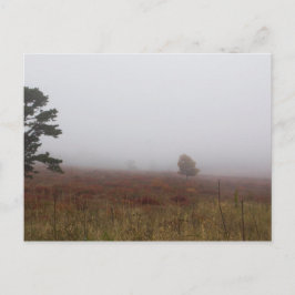 Big Meadows, Shenandoah National Park, Virginia Postkarte