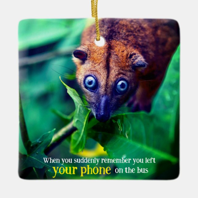 Big Mit Augen Possum Keramikornament (Vorderseite)