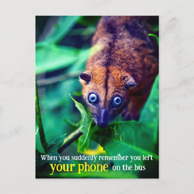 Big Mit Augen Possum Postkarte (Vorderseite)