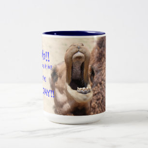 Big Mouthed Camel, Hump Day Blue Tasse