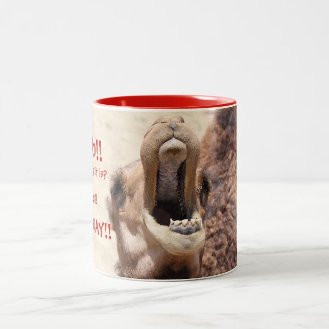 Big Mouthed Camel, Hump Day Red Tasse (Mittel)