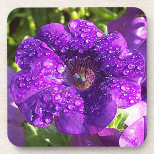 Big Net Lila Petunia Blume Untersetzer Set (6)