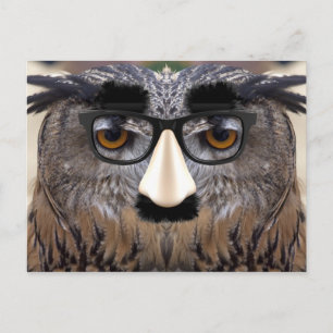 Big Nose Bird Postkarte