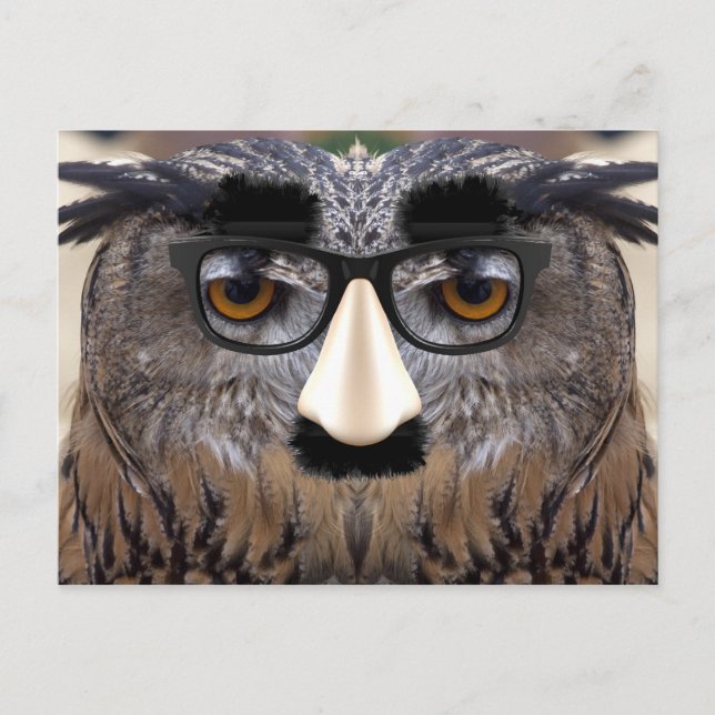Big Nose Bird Postkarte (Vorderseite)