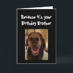 Big Nose Dog Funny Birthday Brother Liebe Hund Karte<br><div class="desc">Bruder Weil es dein Geburtstag ist und ich es nase,  deshalb bekommst du diese Karte. Happy Birthday niedlich Fun Big Nose Dog Tierspass</div>