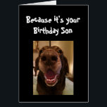 Big Nose Dog Funny Birthday Son Liebe Dog<br><div class="desc">Son Weil es dein Geburtstag ist und ich es mir schnauze,  ist es der Grund,  warum du diese Karte bekommst.   Glücklicher Geburtstag niedlicher Spaß Big Nose Hund Tierspass</div>