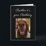 Big Nose Dog Funny Brother Geburtstags Liebe Hund Karte<br><div class="desc">Denn es ist dein Geburtstagsbruder und ich habe die Nase,  wie sehr du sie hasst. Ich habe die Nase,  dass du Liebe brauchst. Liebe auf Ihrem Geburtstag senden</div>