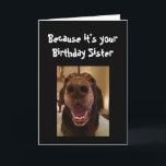 Big Nose Hund Funny Geburtstag Schwester Liebe Hun Karte<br><div class="desc">Schwester,  weil es dein Geburtstag ist und ich weiß,  dass das ist,  warum du diese Karte bekommst.   Glücklicher Geburtstag niedlicher Spaß Big Nose Hund Tierspass</div>