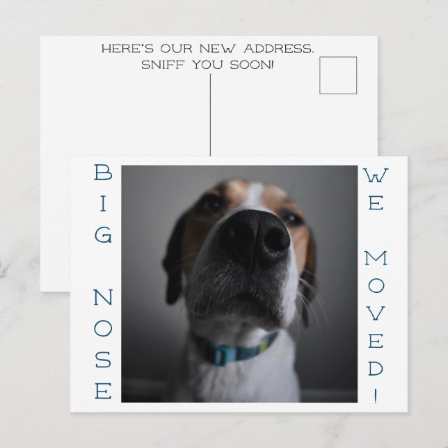 Big Nosed Dog Änderung der Adresse Postcard Postkarte (Vorne/Hinten)