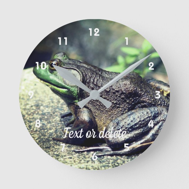 Big Old Bullfrog auf Rock Personalisiert Runde Wanduhr (Vorderseite)