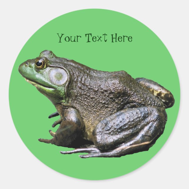 Big Old Bullfrosch Animal Sticker (Vorderseite)