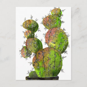 Big Old Stingy Cactus Postkarte
