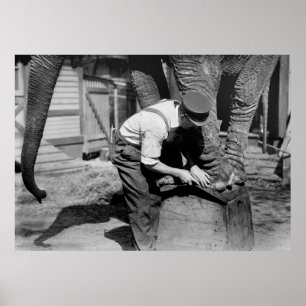 Big Pedicure, 1910er Poster