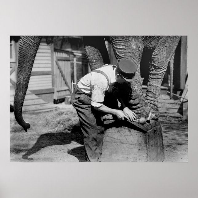 Big Pedicure, 1910er Poster (Vorne)