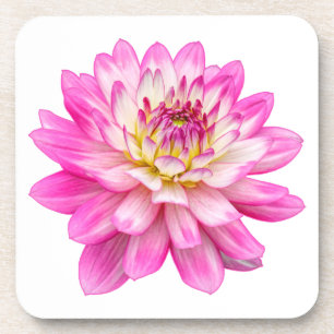 Big Pink Dahlia Getränkeuntersetzer