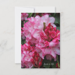 Big Pink Rhododendron Mitteilungskarte