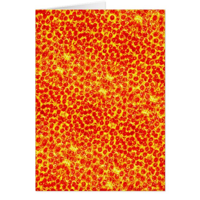 Big Pizza Pattern (Vorne)