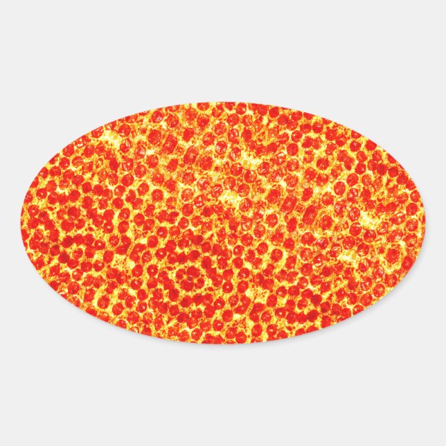 Big Pizza Pattern Ovaler Aufkleber (Vorderseite)