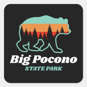 Big Pocono State Park PA Bär Retro Vintage Quadratischer Aufkleber