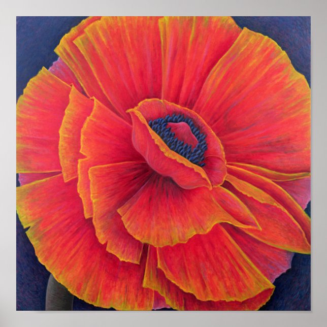 Big Poppy 2003 Poster (Vorne)