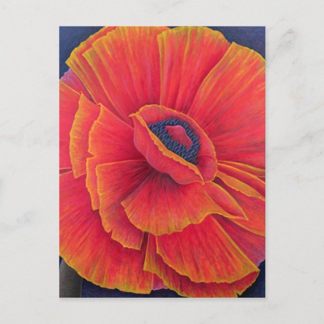 Big Poppy 2003 Postkarte (Vorderseite)