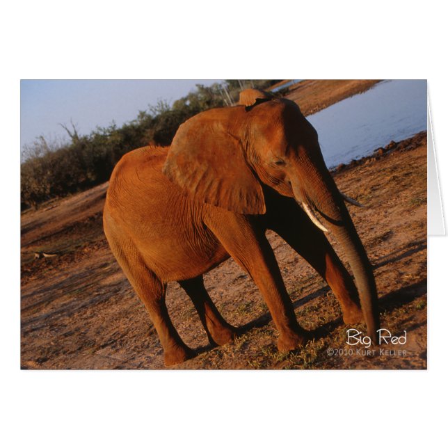 Big Red (Vorderseite (Horizontal))