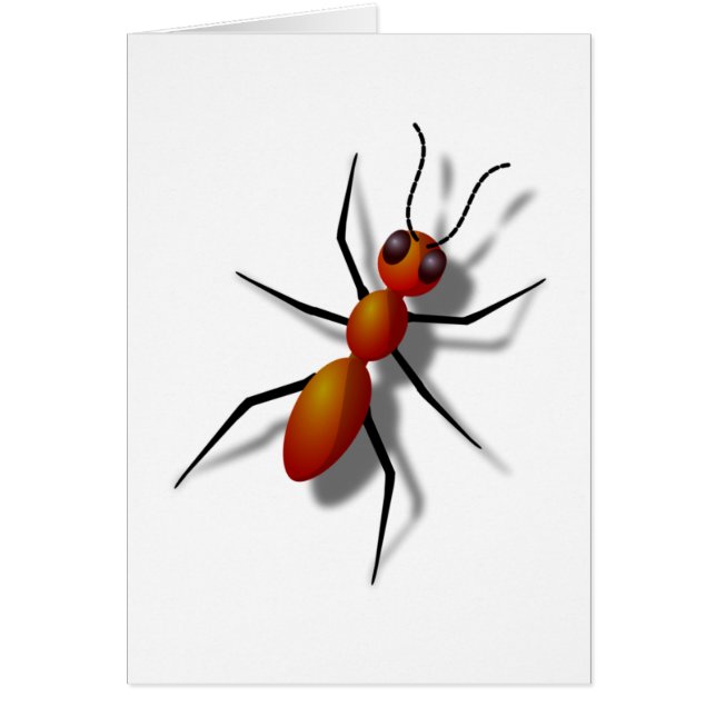 Big Red Ant (Vorne)