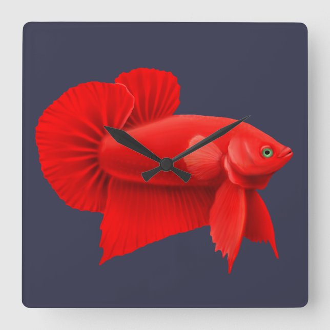 Big Red Betta Fish Plakat Wall Clock Quadratische Wanduhr (Vorderseite)