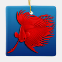 Big Red Betta Splendens