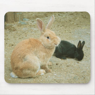 Big Red Bunny Mousepad