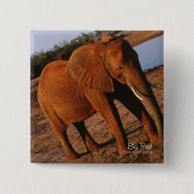 Big Red Button (Vorderseite)