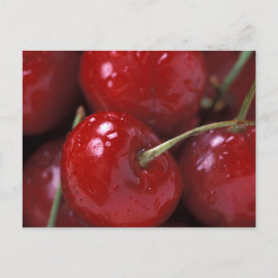 Big Red Cherries Postkarte
