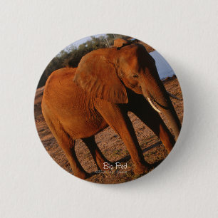 Big Red Elephant Button