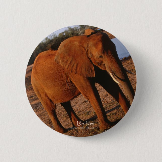 Big Red Elephant Button (Vorderseite)