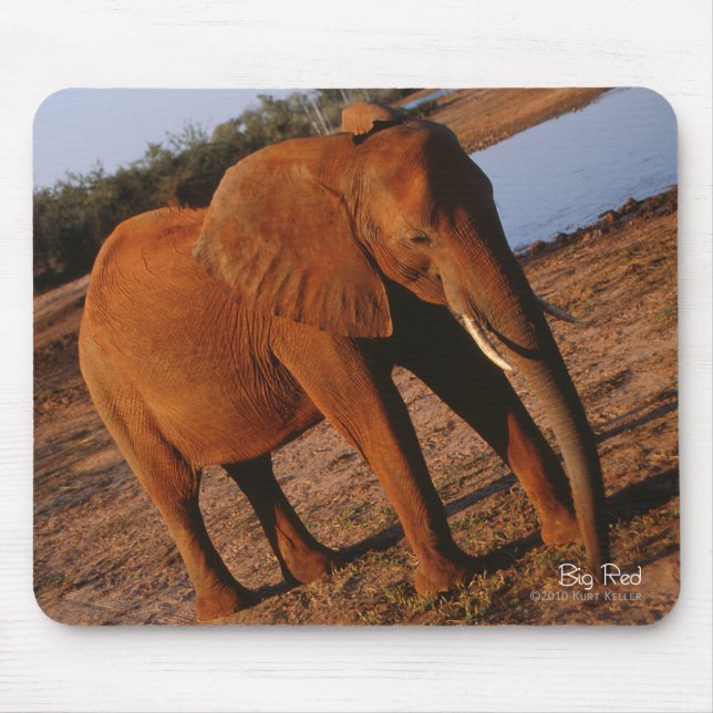 Big Red Elephant Mousepad (Vorne)