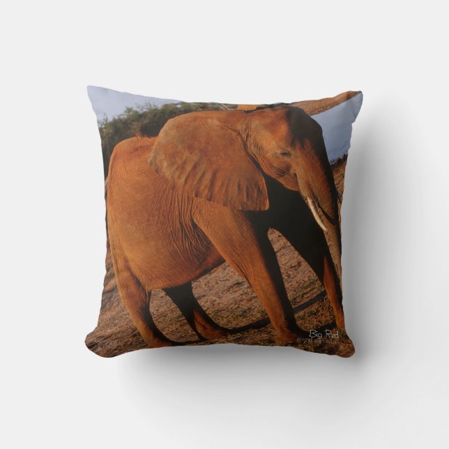 Big Red Kissen (Vorderseite)