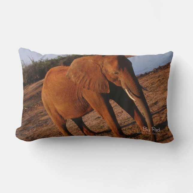 Big Red Lendenkissen (Vorderseite)