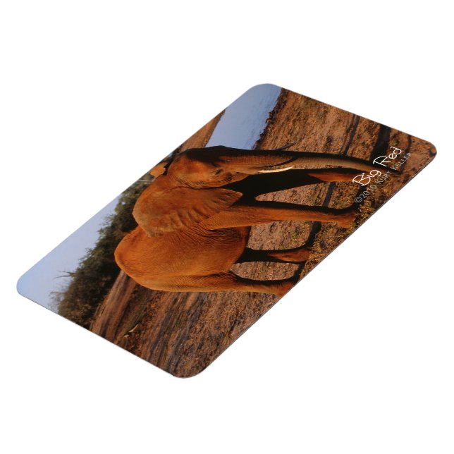 Big Red Magnet (Linke Seite)