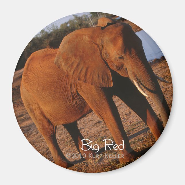 Big Red Magnet (Vorne)