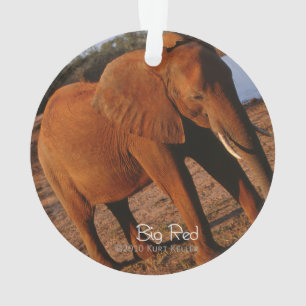 Big Red Ornament