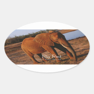 Big Red Ovaler Aufkleber