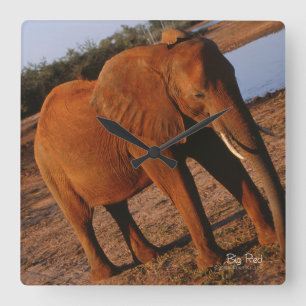 Big Red Quadratische Wanduhr