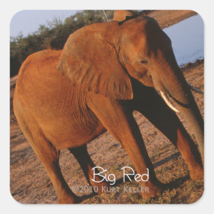 Big Red Quadratischer Aufkleber
