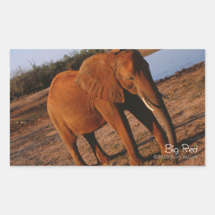 Big Red Rechteckiger Aufkleber