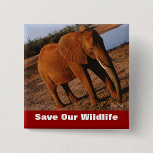 Big Red Rettete Our Wildlife Button