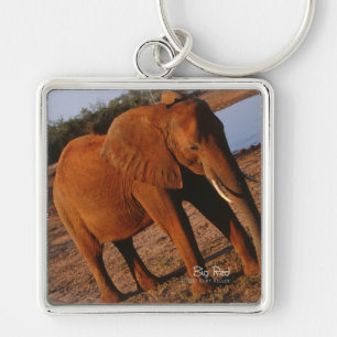 Big Red Schlüsselanhänger