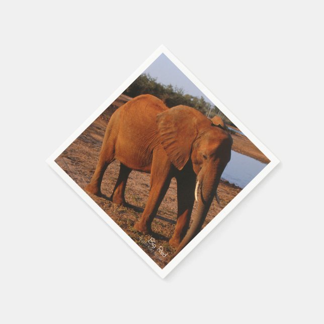 Big Red Serviette (Ecke)