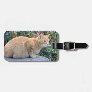 Big Red Tabby Gepäckanhänger